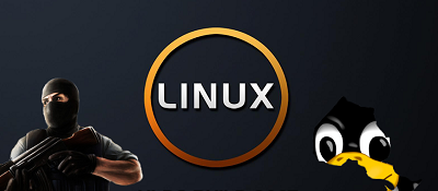 Чистая серверная платформа [Build 6132 Linux]